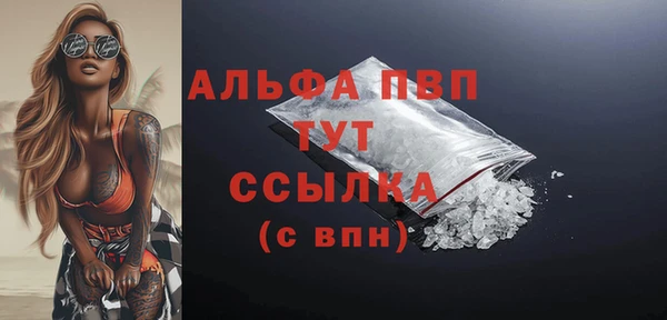 сатива Баксан