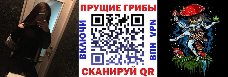 Галлюциногенные грибы прущие грибы Усть-Джегута